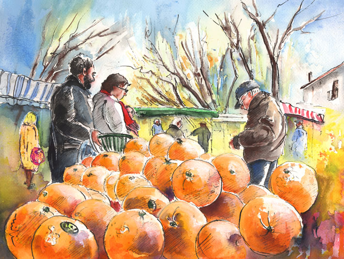 Oranges Vendor in a Provence Market S